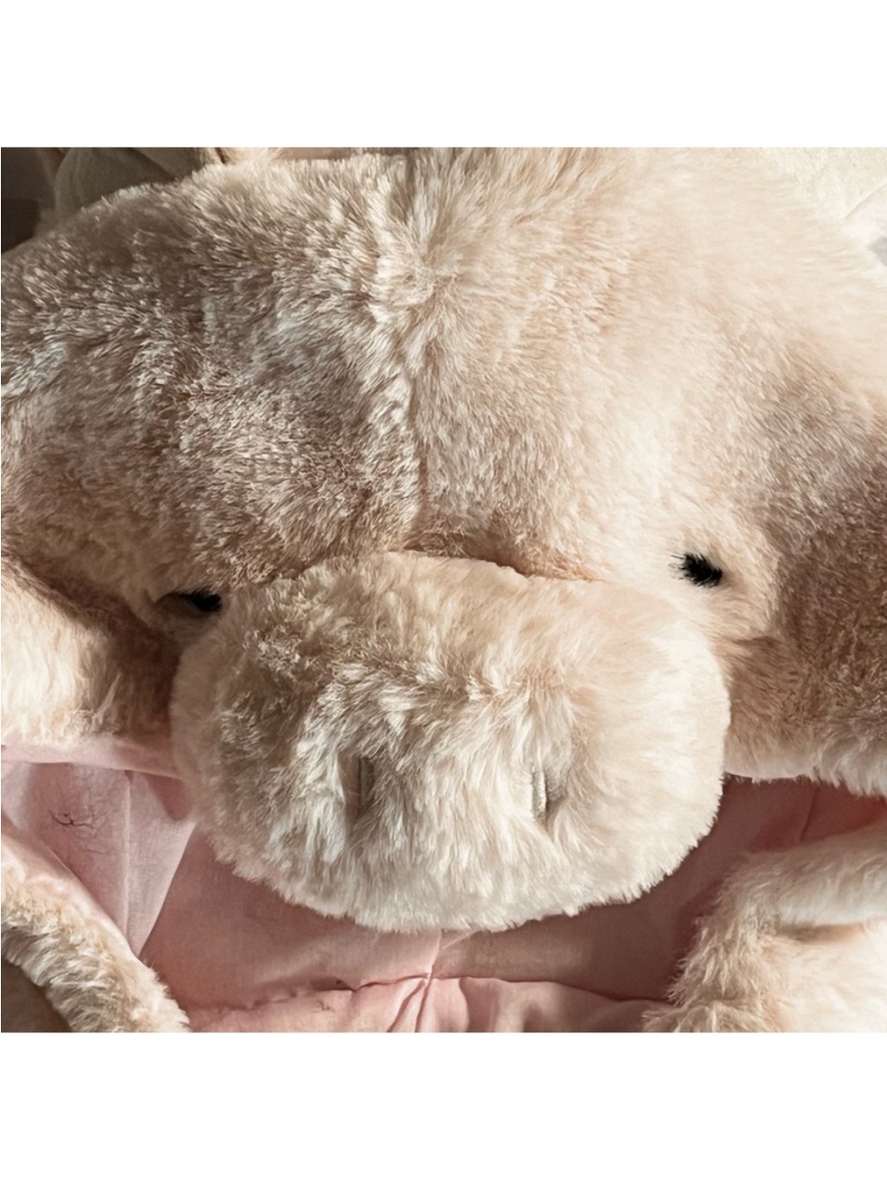 Pottery Barn- Piglet costume - Light Pink - Picture 3 of 11